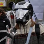 Photo prise lors du passage au Festival Santa Theresa de la tournée Évènementielle des industrielles